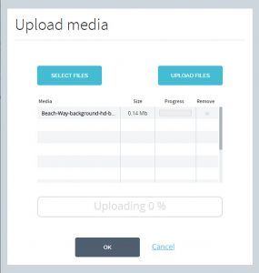 videostar